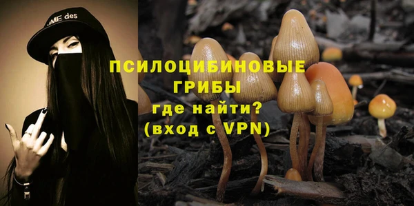 MESCALINE Елабуга